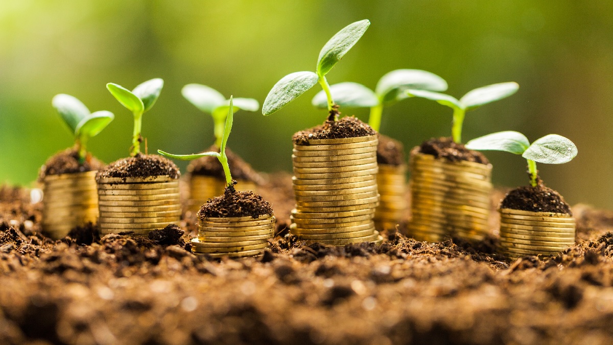 Carteira ESG: Sanepar (SAPR11) e Raia Drogasil (RADL3) são incluídas nas ações recomendadas pelo BTG em janeiro