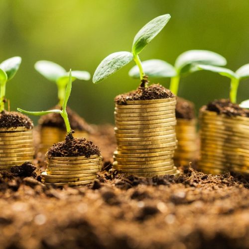 Carteira ESG: Sanepar (SAPR11) e Raia Drogasil (RADL3) são incluídas nas ações recomendadas pelo BTG em janeiro