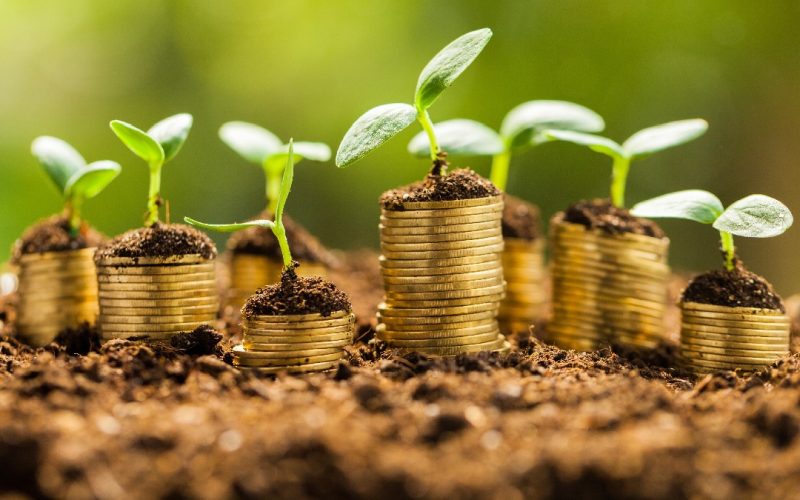 Carteira ESG: Sanepar (SAPR11) e Raia Drogasil (RADL3) são incluídas nas ações recomendadas pelo BTG em janeiro