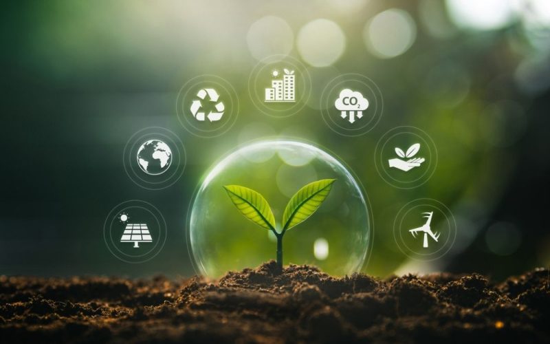 XP mantém carteira ESG: confira as 10 ações recomendadas para fevereiro