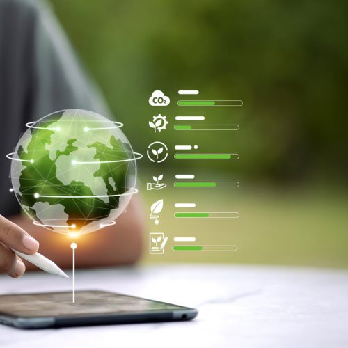 Alupar, B3 e mais: as 10 ações ESG recomendadas pela XP para janeiro